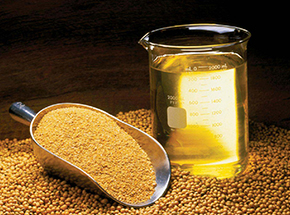 Hipro Soybean Meal